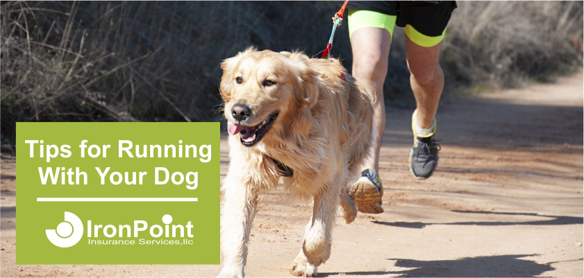 Running with your dog