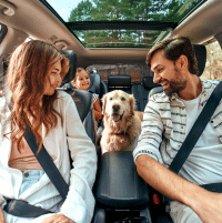 Utah Car Insurance