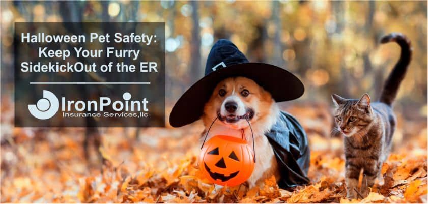 Halloween Pet Safety