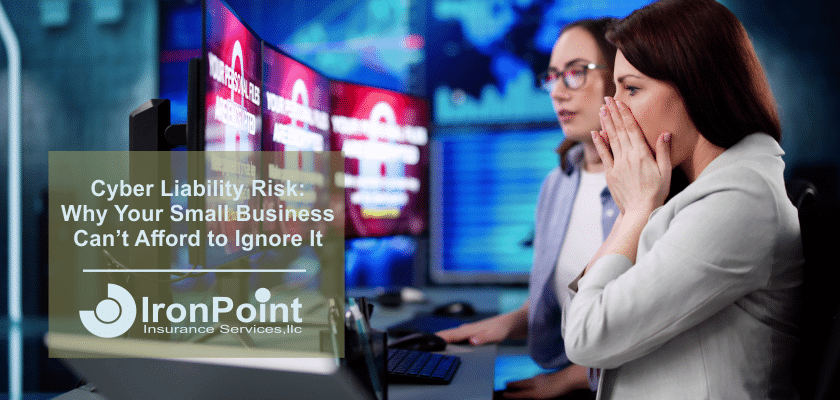 Cyber Liability Risk