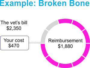 Accident Covearge Example