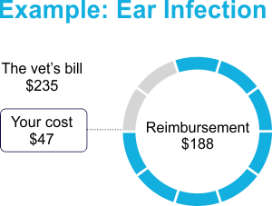 Illness Coverage Example