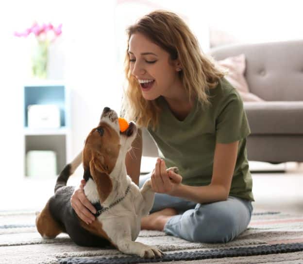 Pet Insurance Coverage