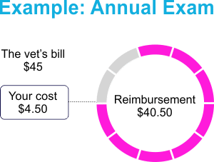 Wellness Coverage Example